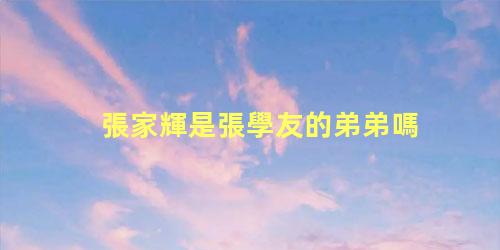 張家輝是張學友的弟弟嗎？張學友和張家輝是親兄弟